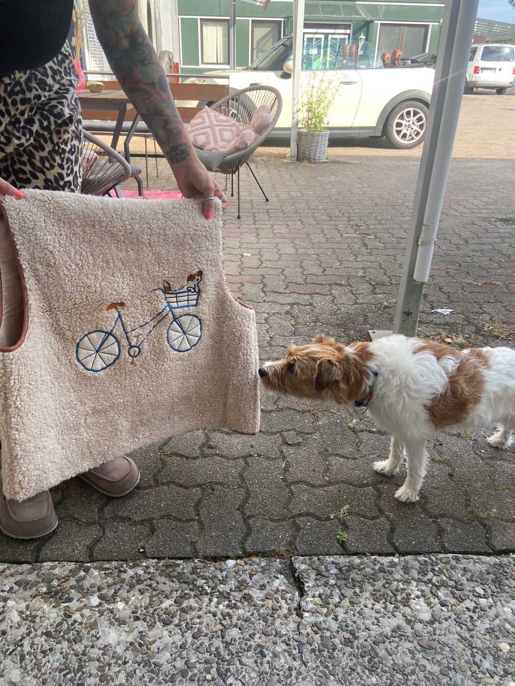 Lollys Laundry  Parson Jack Russel Terrier Weste  <3