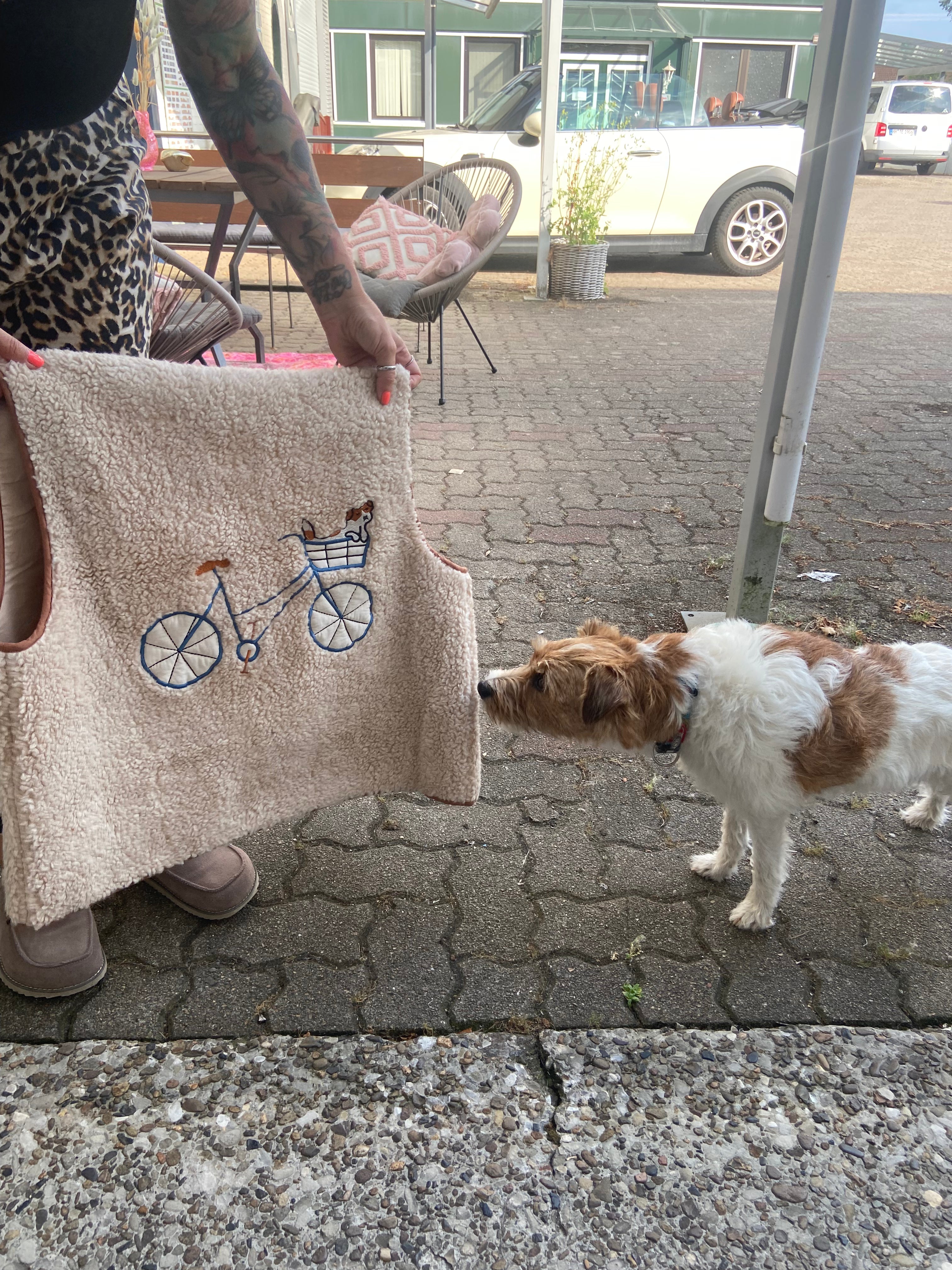 Lollys Laundry  Parson Jack Russel Terrier Weste  <3